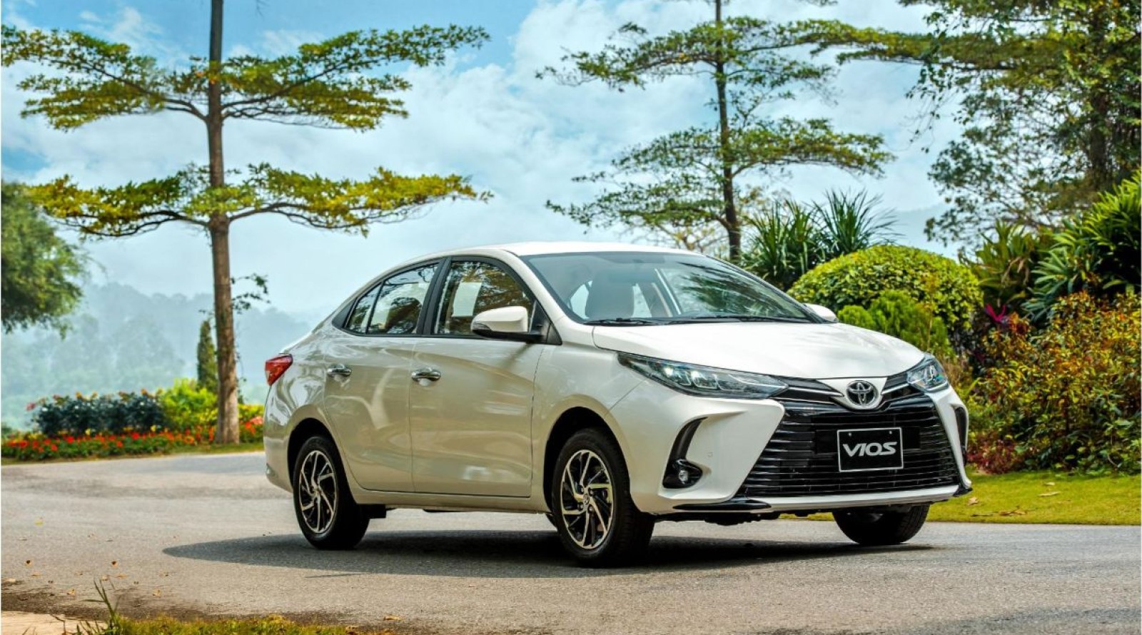Thuê xe Toyota Vios